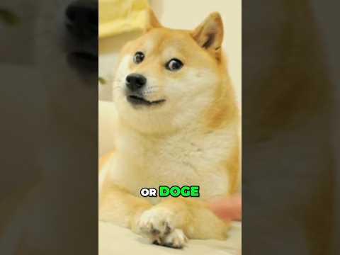 Elon Musk&#039;s DOGE Explained in 60 Seconds!
