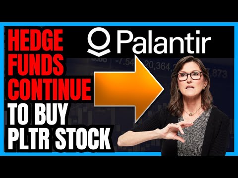 Palantir’s AI Dominance—Cathie Wood Says It’s Just Getting Started! Hedge Funds Are Piling Into PLTR