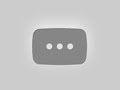 Palantir Stock Prediction: PLTR Stock $800 Target By Cathie Wood | PLTR Stock News