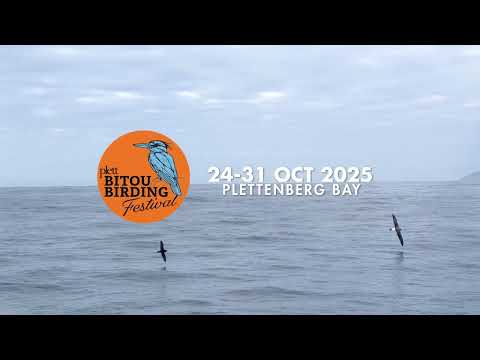 Pelagic Expedition 2025