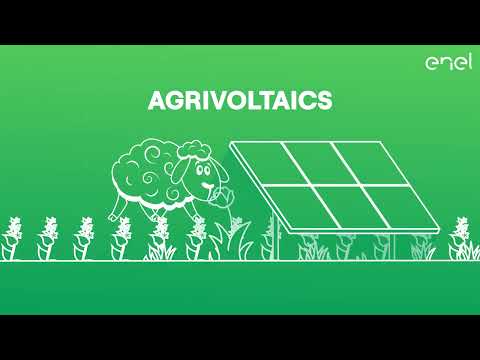 What is dual-use solar and agrivoltaics?