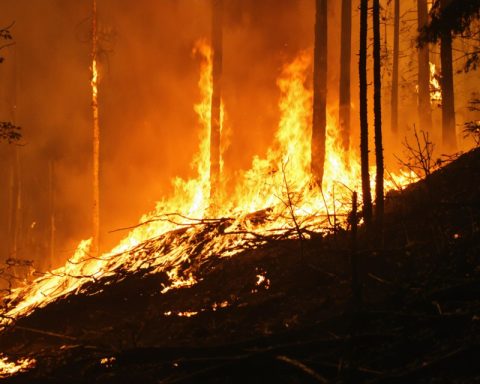 Hawaiian Electric Fights Back After Earnings Miss and Wildfire Challenges Hawaiian Electric Fights Back After Earnings Miss and Wildfire Challenges